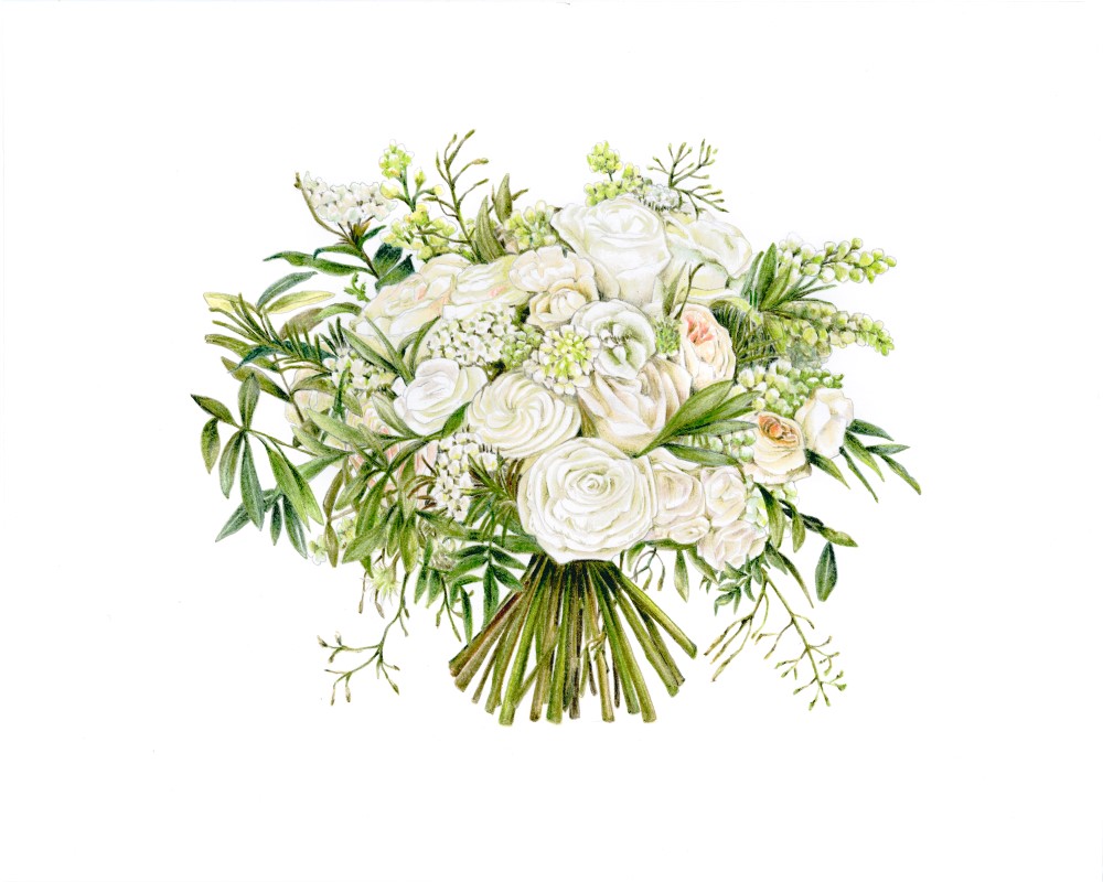 Botanical Illustration Blog | Charlotte Argyrou, London